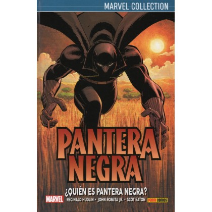 Pantera Negra de Hudlin Vol 1 ¿Quién es Pantera Negra?